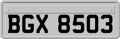BGX8503