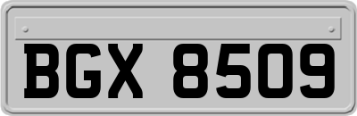 BGX8509