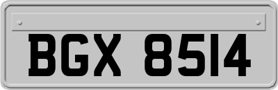 BGX8514