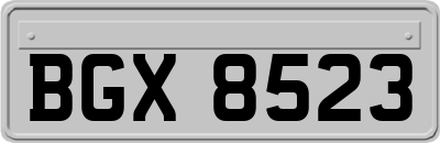 BGX8523