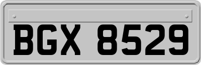 BGX8529