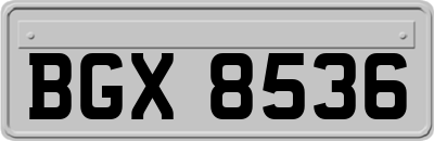 BGX8536