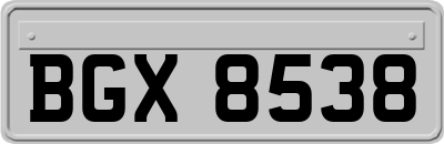 BGX8538