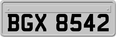 BGX8542