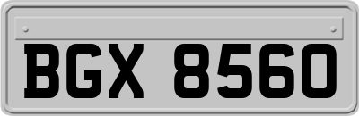 BGX8560
