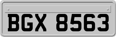 BGX8563