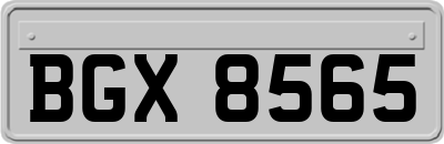 BGX8565