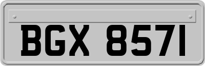 BGX8571