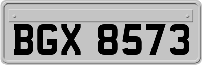 BGX8573
