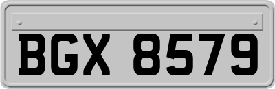 BGX8579