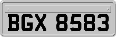 BGX8583