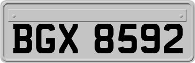 BGX8592