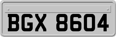 BGX8604
