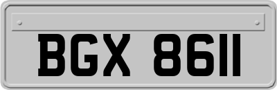BGX8611