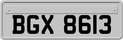 BGX8613