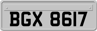 BGX8617