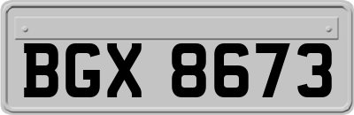 BGX8673