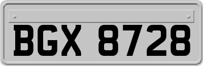 BGX8728