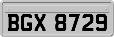 BGX8729