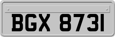 BGX8731