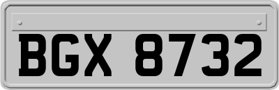 BGX8732