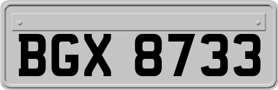 BGX8733