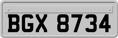 BGX8734