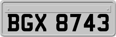 BGX8743