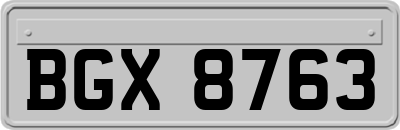 BGX8763