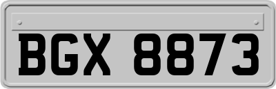 BGX8873