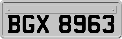 BGX8963