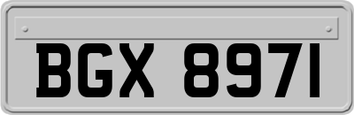 BGX8971