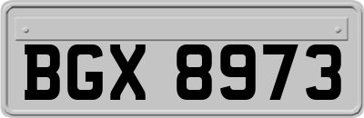 BGX8973