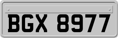 BGX8977