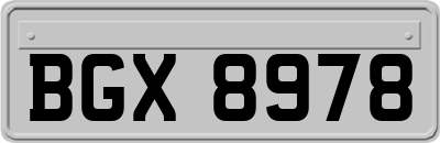 BGX8978