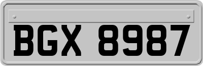 BGX8987