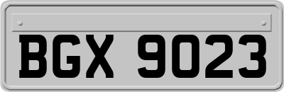 BGX9023