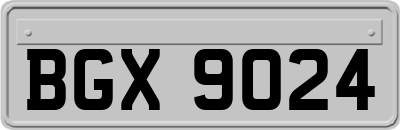BGX9024
