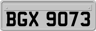 BGX9073