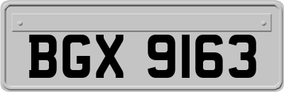 BGX9163