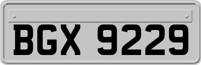 BGX9229
