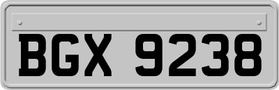 BGX9238