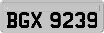 BGX9239