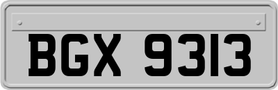 BGX9313