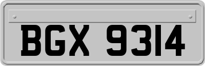 BGX9314