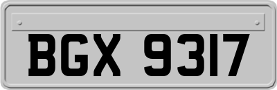 BGX9317