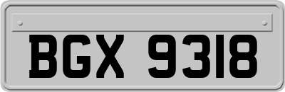 BGX9318