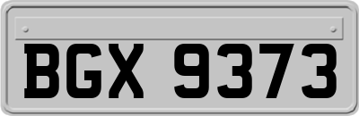 BGX9373