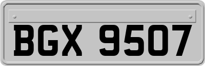 BGX9507