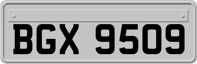 BGX9509